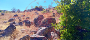 Bingöl Adaklı Kırkpınar Köyü Milli Emlak'tan Satılık 9.704,16 m2 Tarla