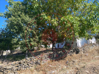 Kastamonu Taşköprü Paşa Köyü Milli Emlak'tan Satılık 979,20 m2 Tarla