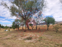 Konya Hüyük Görünmez Köyü Milli Emlak'tan Satılık 260,09 m2 Tarla