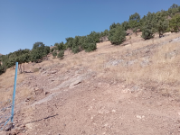 Malatya Hekimhan Dereköy Köyü Milli Emlak'tan Satılık 855,80 m2 Tarla