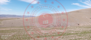Konya Kulu Kırkpınar Kasabası Milli Emlak'tan Satılık 25.917,20 m2 Tarla