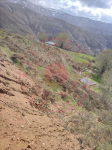 Bingöl Genç Yiğitbaşı Köyü Milli Emlak'tan Satılık 5.953,92 m2 Tarla