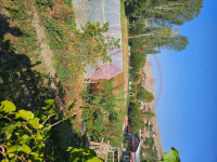 Afyonkarahisar Şuhut Çakırözü Köyü Milli Emlak'tan Satılık 28,47 m2 Tarla