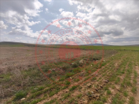 Nevşehir Gülşehir Gökçetoprak Köyü Milli Emlak'tan Satılık 9.749,99 m2 Tarla