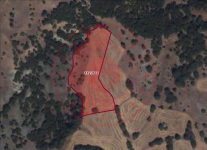 Çorum Merkez Büyükgülücek Köyü Milli Emlak'tan Satılık 6.338,23 m2 Tarla