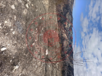 Karaman Ermenek İkizçınar Köyü Milli Emlak'tan Satılık 2.955,85 m2 Tarla