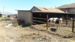 Denizli Acıpayam Apa Köyü Milli Emlak'tan Satılık 244,55 m2 Tarla