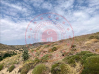 Erzincan Refahiye Gümüşakar - Çıragediği Köyü Milli Emlak'tan Satılık 558,80 m2 Tarla