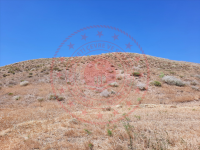 Kırşehir Akçakent Ömeruşağı Köyü Milli Emlak'tan Satılık 11.127,71 m2 Tarla