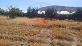 Kahramanmaraş Türkoğlu Özbek Mahallesi Milli Emlak'tan Satılık 483,03 m2 Tarla