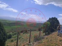 Konya Beyşehir Gökçimen Kasabası Milli Emlak'tan Satılık 7.212,33 m2 Arsa