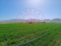 Konya Karapınar Salur Köyü Milli Emlak'tan Satılık 1.663,35 m2 Tarla