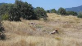 Ankara Çamlıdere Beyler Mahallesi Milli Emlak'tan Satılık 9.099,00 m2 Arsa