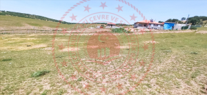 Kırıkkale Balışeyh Kösedurak Köyü Milli Emlak'tan Satılık 1.288,56 m2 Tarla