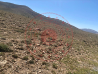 Kırşehir Merkez Yağmurlu - Sayobası Köyü Milli Emlak'tan Satılık 1.000,00 m2 Tarla