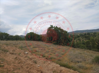 Kırıkkale Delice Meşeyayla Köyü Milli Emlak'tan Satılık 350,00 m2 Tarla