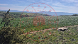 Çorum Merkez Turgut Köyü Milli Emlak'tan Satılık 2.727,68 m2 Tarla