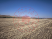 Ağrı Hamur Tükenmez Köyü Milli Emlak'tan Satılık 26.386,68 m2 Tarla