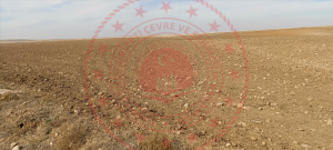 Konya Sarayönü Çeşmelisebil Kasabası Milli Emlak'tan Satılık 85.204,35 m2 Tarla