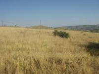 Erzincan Kemaliye Yazmakaya Köyü Milli Emlak'tan Satılık 9.080,59 m2 Tarla