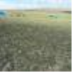 Kayseri Kocasinan Yuvalı Mahallesi Milli Emlak'tan Satılık 629,62 m2 Tarla