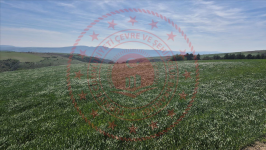 Çorum Merkez Turgut Köyü Milli Emlak'tan Satılık 3.937,61 m2 Tarla