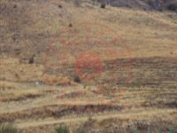 Afyonkarahisar Dinar Yıprak - Esentepe Mahallesi Milli Emlak'tan Satılık 5.086,47 m2 Tarla