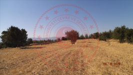 Denizli Tavas Akıncılar Mahallesi Milli Emlak'tan Satılık 4.718,90 m2 Tarla