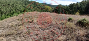 Kütahya Simav Samat Köyü Milli Emlak'tan Satılık 7.952,00 m2 Tarla