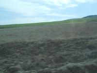 Ankara Kalecik Koramaz (gümüşpınar) Mahallesi Milli Emlak'tan Satılık 1.610,39 m2 Tarla