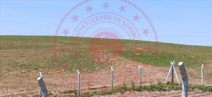 Kırıkkale Balışeyh Kösedurak Köyü Milli Emlak'tan Satılık 231,63 m2 Tarla