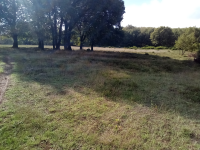 Kocaeli Gebze Denizli Köyü Milli Emlak'tan Satılık 3.744,04 m2 Tarla