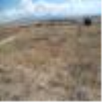 Konya Beyşehir Esence Kasabası Milli Emlak'tan Satılık 4.111,80 m2 Arsa