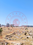 Mardin Artuklu Yalım Köyü Milli Emlak'tan Satılık 1.220,63 m2 Arsa