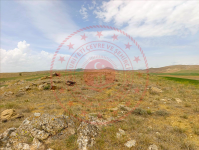 Nevşehir Gülşehir Yeşilöz Köyü Milli Emlak'tan Satılık 14.773,97 m2 Tarla