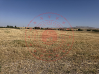 Ağrı Merkez Çakıroba Köyü Milli Emlak'tan Satılık 2.275,56 m2 Tarla