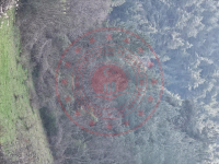 Karabük Merkez Bolkuş Köyü Milli Emlak'tan Satılık 170,71 m2 Tarla