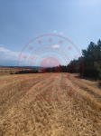 Kastamonu Merkez Sırasöğütler Köyü Milli Emlak'tan Satılık 612,84 m2 Tarla
