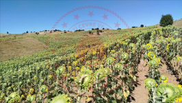 Çorum Alaca Büyükhırka Köyü Milli Emlak'tan Satılık 14.200,00 m2 Tarla