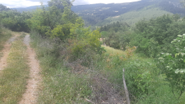 Balıkesir Kepsut Kayaeli Köyü Milli Emlak'tan Satılık 1.558,49 m2 Tarla
