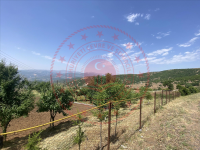 Bingöl Merkez Çukurca Afet Köyü Milli Emlak'tan Satılık 3.036,28 m2 Tarla