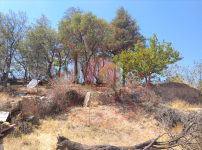 Kırıkkale Delice Evliyalı Köyü Milli Emlak'tan Satılık 970,12 m2 Tarla