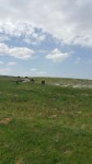 Konya Kadınhanı Hacımehmetli Köyü Milli Emlak'tan Satılık 702,19 m2 Arsa