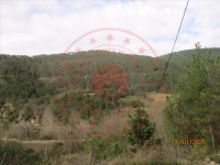 Samsun Bafra Dereler Köyü Milli Emlak'tan Satılık 10.844,84 m2 Tarla