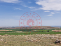 Konya Yunak Kurduşağı Köyü Milli Emlak'tan Satılık 663,87 m2 Tarla