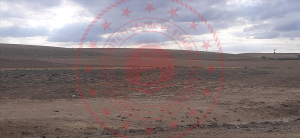 Konya Karatay Suruç Köyü Milli Emlak'tan Satılık 1.364,00 m2 Tarla