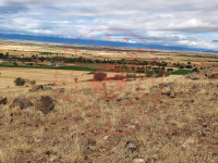 Konya Hüyük Selki Kasabası Milli Emlak'tan Satılık 23.227,76 m2 Tarla