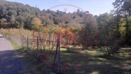 Zonguldak Ereğli Yazıcılar Köyü Milli Emlak'tan Satılık 941,16 m2 Tarla