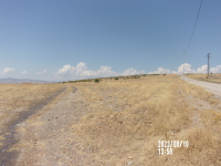 Ankara Beypazarı Adaören Köyü Milli Emlak'tan Satılık 500,00 m2 Tarla