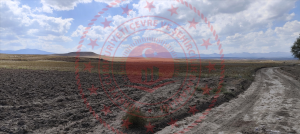 Konya Meram Kavak Köyü Milli Emlak'tan Satılık 21.500,00 m2 Arsa